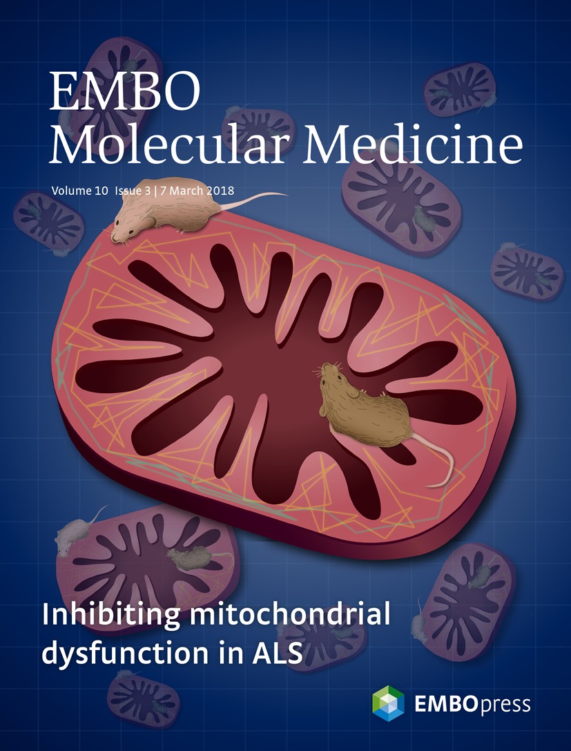 Amit Joshi, Nay L Shaw, Hannes Vogel, Anna D Cunningham, Mehrdad Shamloo, Daria Mochly-Rosen, and Carlos Gonzalez featured on the cover of EMBO Molecular Medicine